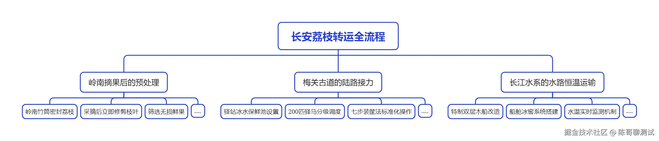 lychee-entire-process