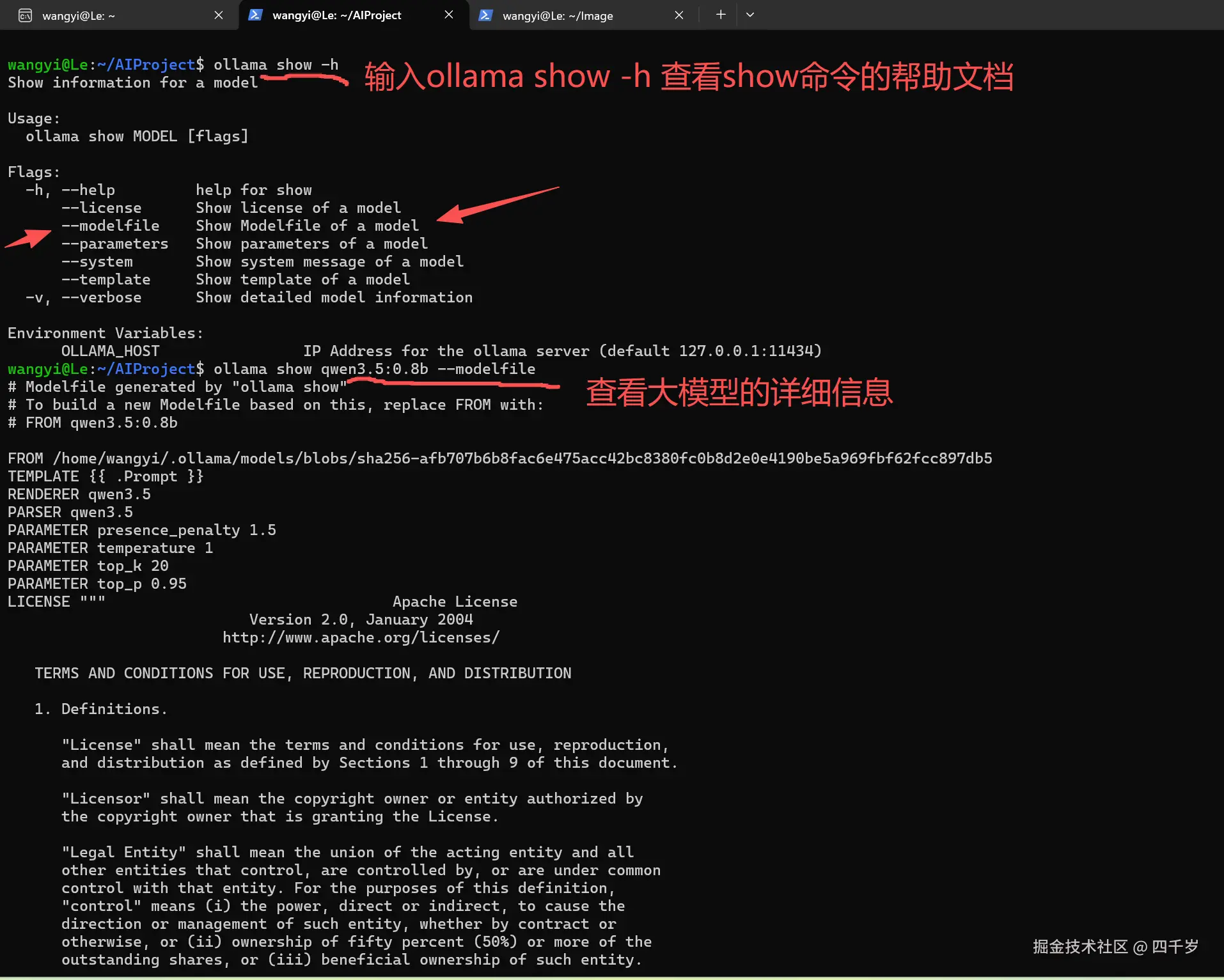 再次查看show命令的帮助文档
