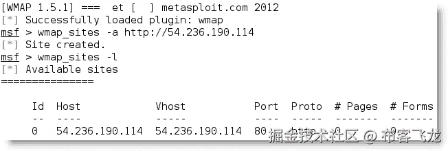 扩展传统漏洞扫描器功能