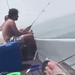 12.GIF