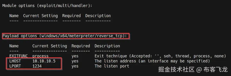 图 9.18 – Meterpreter 有效载荷选项    