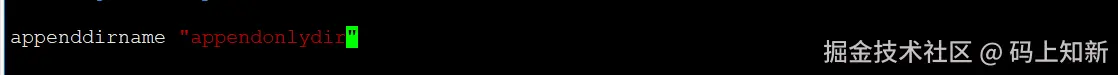 image-20240427205820431