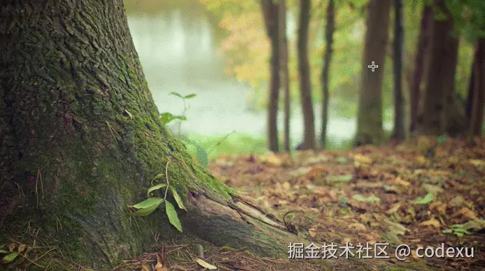 crop-demo.gif
