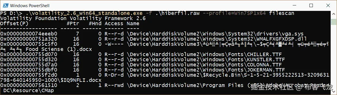 图 6.11 – 来自休眠文件的文件列表